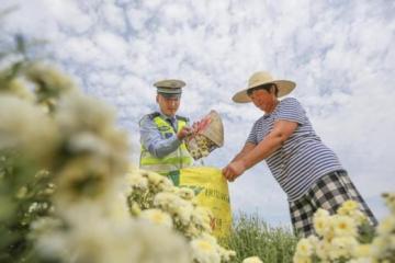 淮北：金秋时节喜丰收 交警助农入花田